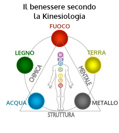 L'organismo umano secondo la Kinesiologia.